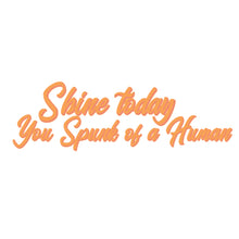 Load image into Gallery viewer, Shine today you spunk of a human
